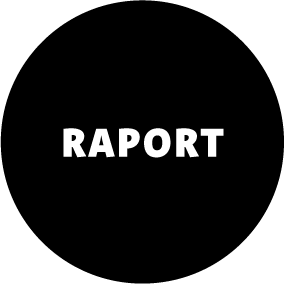 ikona z napisem Raport