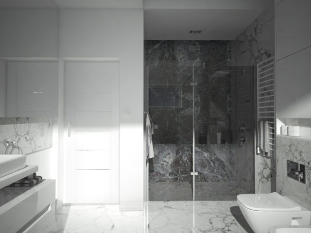 Łazienka; po lewej stronie lustro i umywalka, po środku prysznic, po prawej ubikacja.