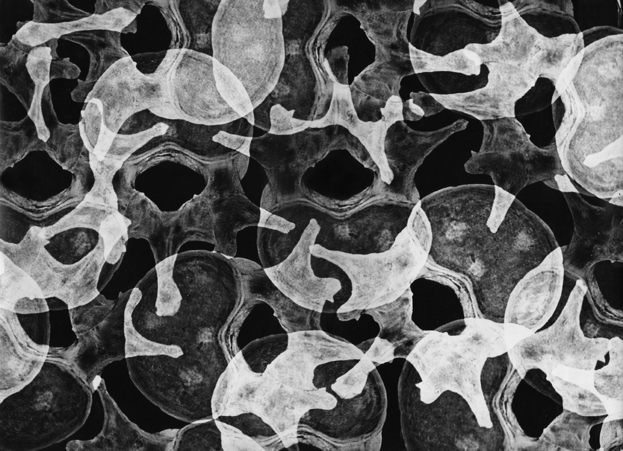 czarno-biała fotografia, nakładające się na siebie abstrakcyjne figury 