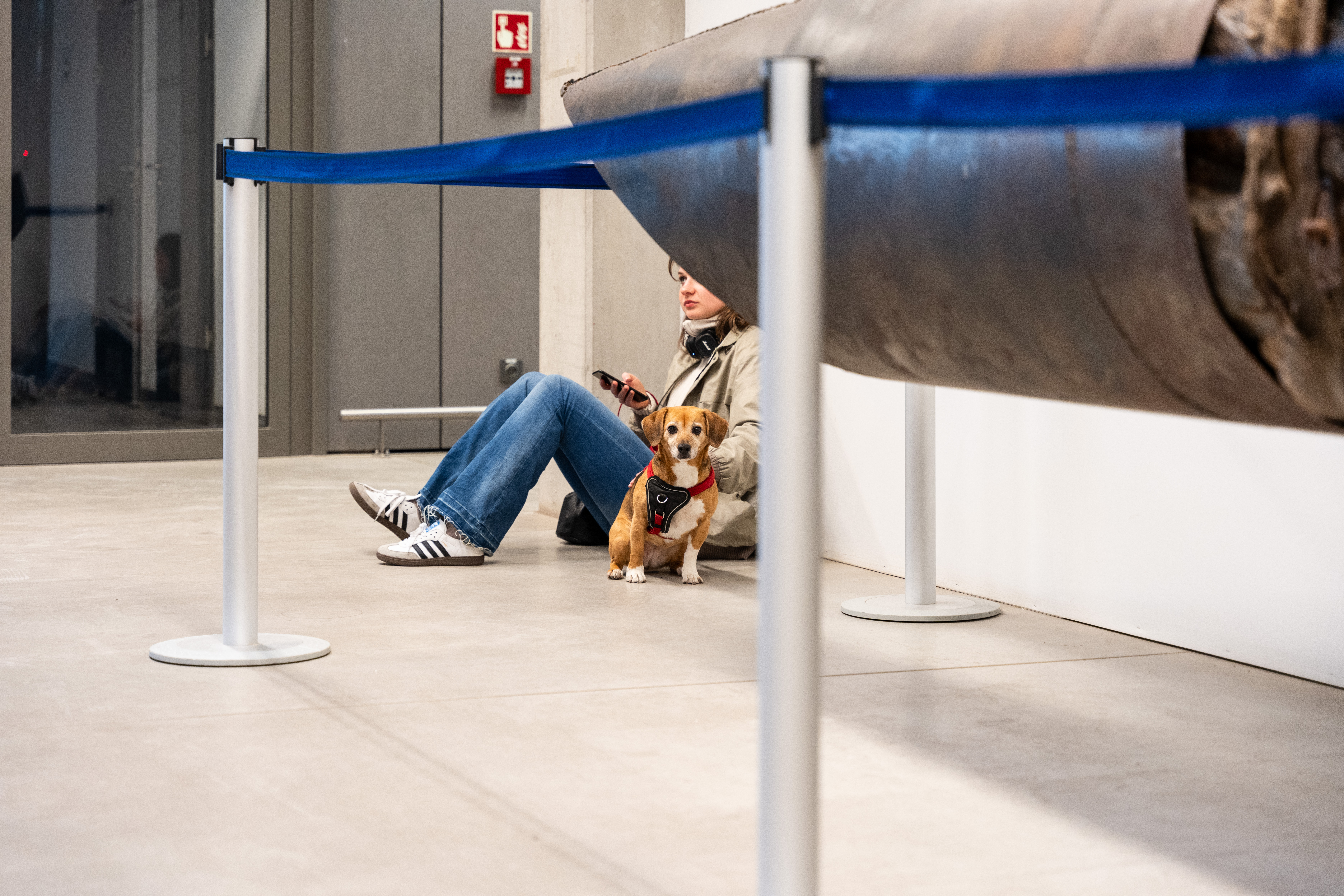 FIGURAMA ’24 – wernisaż prac studenckich w Atrium UAP