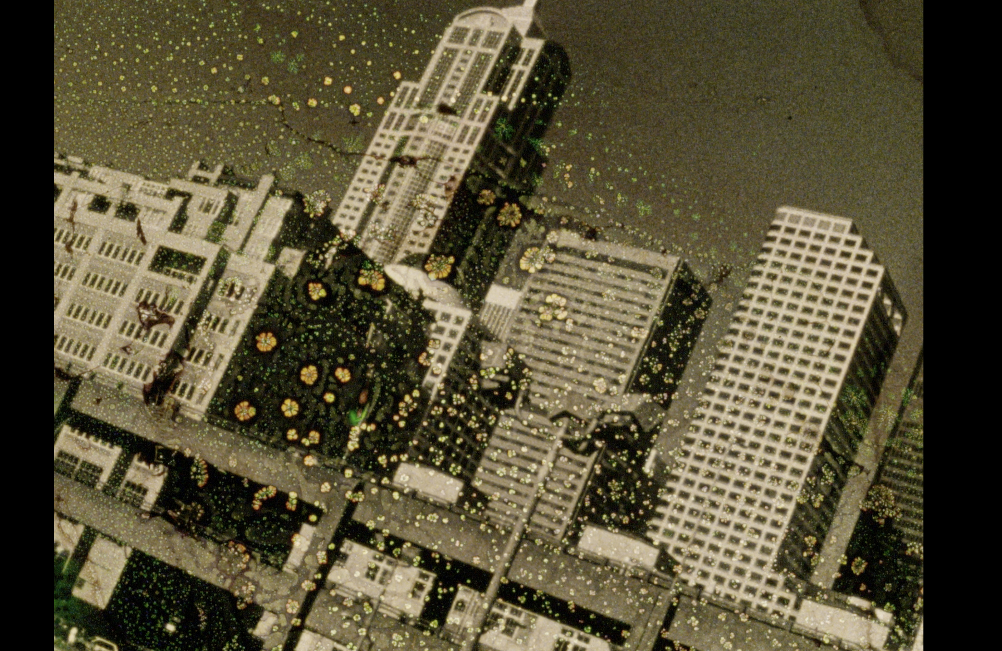 DKF Interwaves x Intermedia Cinema – Analog Dreaming: Jon Behrens Memorial Program