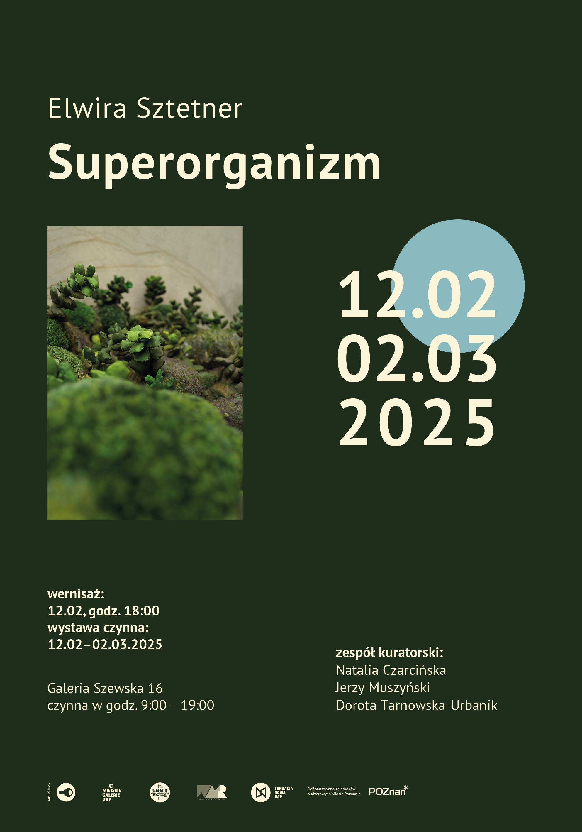 Elwira Sztetner | Superorganizm
