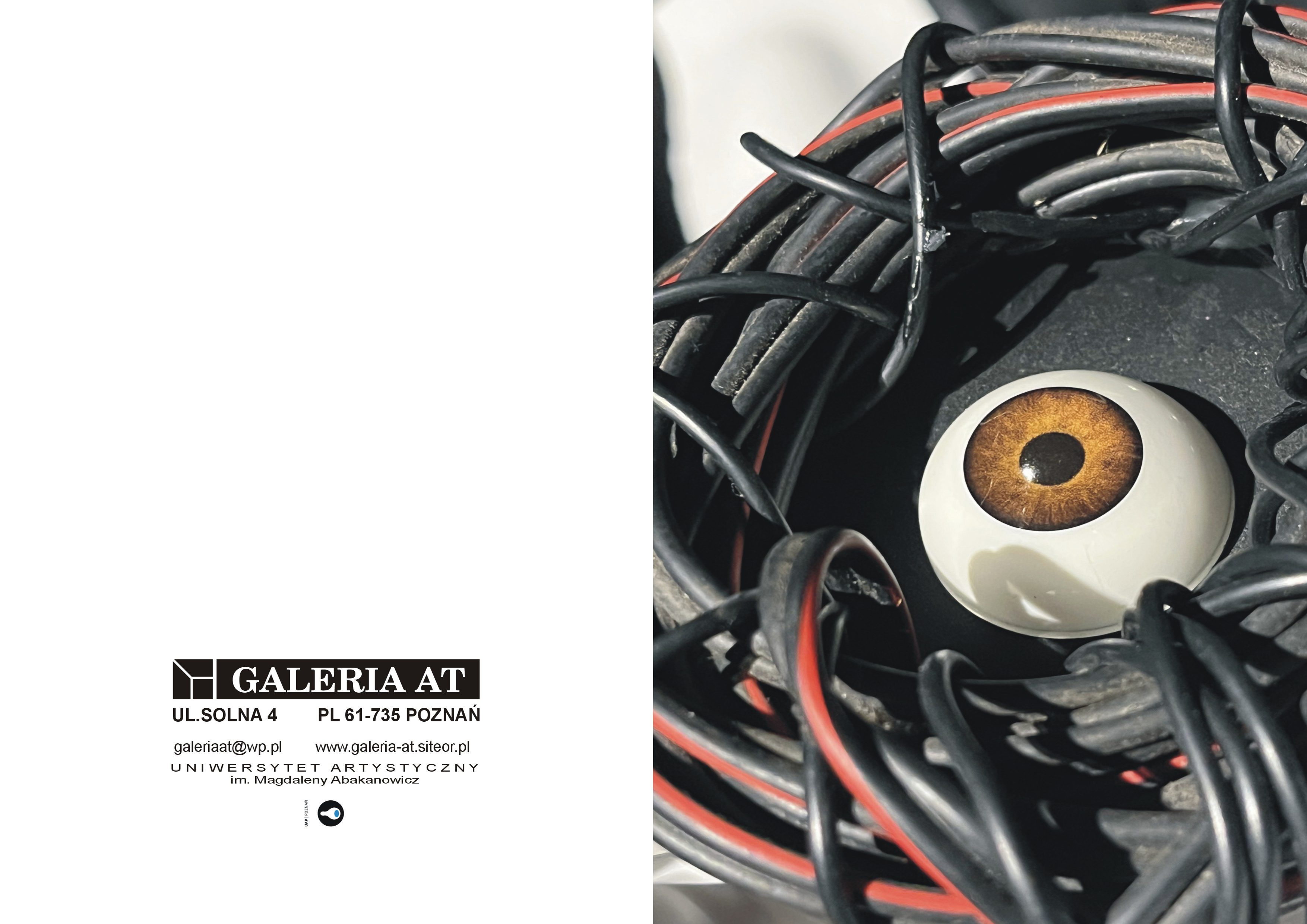 Marcin Berdyszak | Okoczy