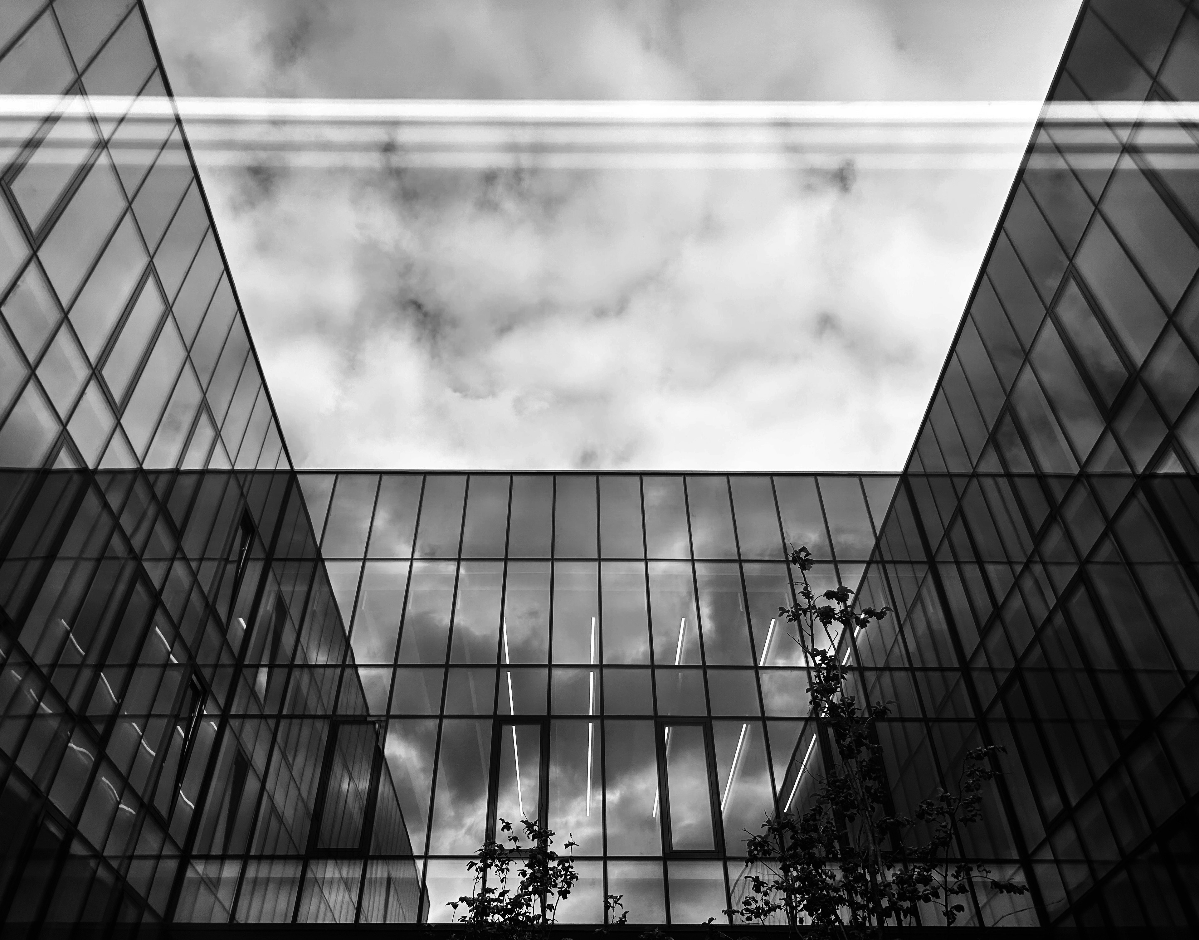 Perspektywy Projektowania