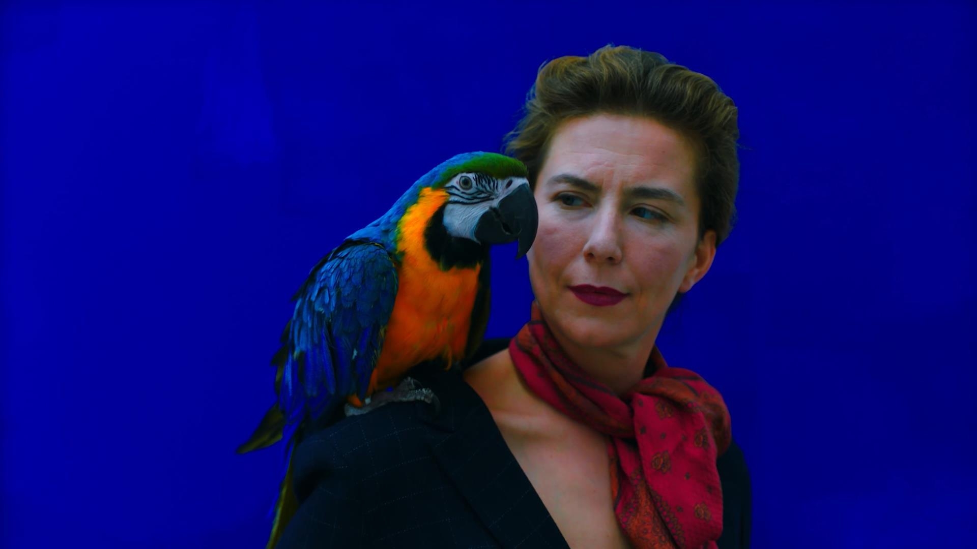 Izabella Gustowska: względne/bezwzględne cechy podobieństwa | pokaz filmów i spotkanie z artystką