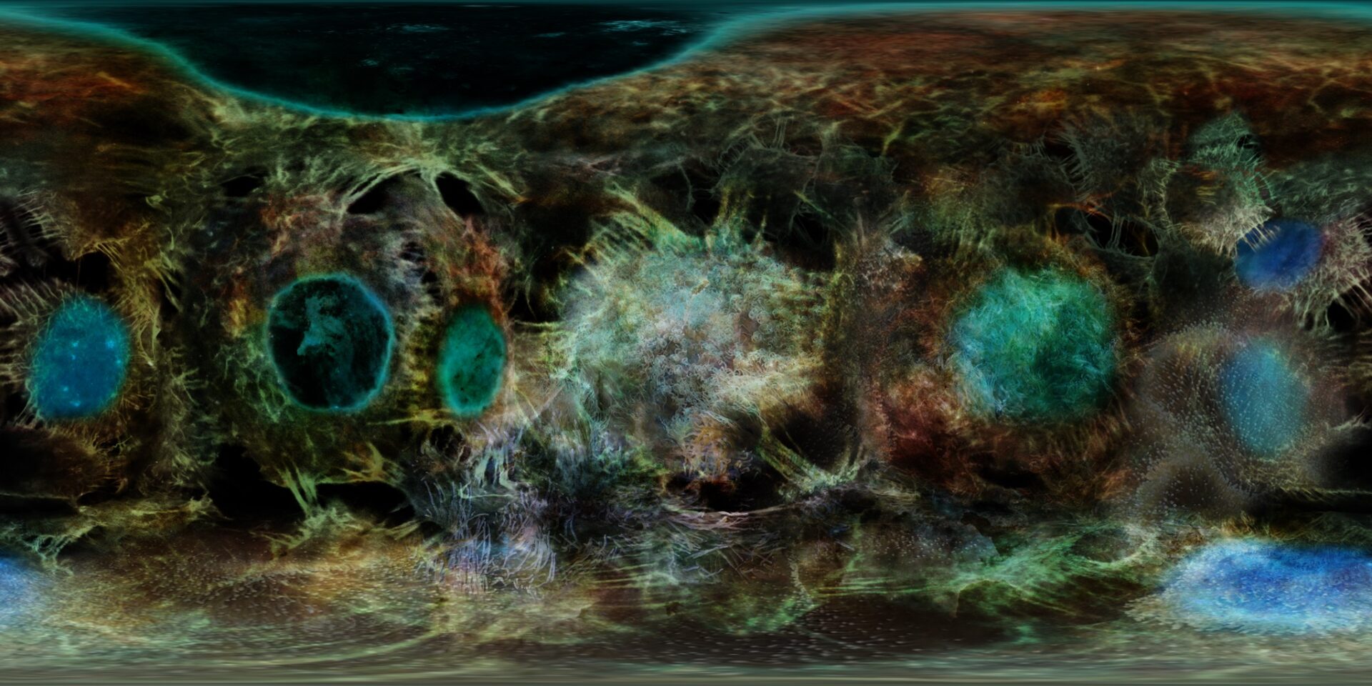 praca Hoffmann-dietrich