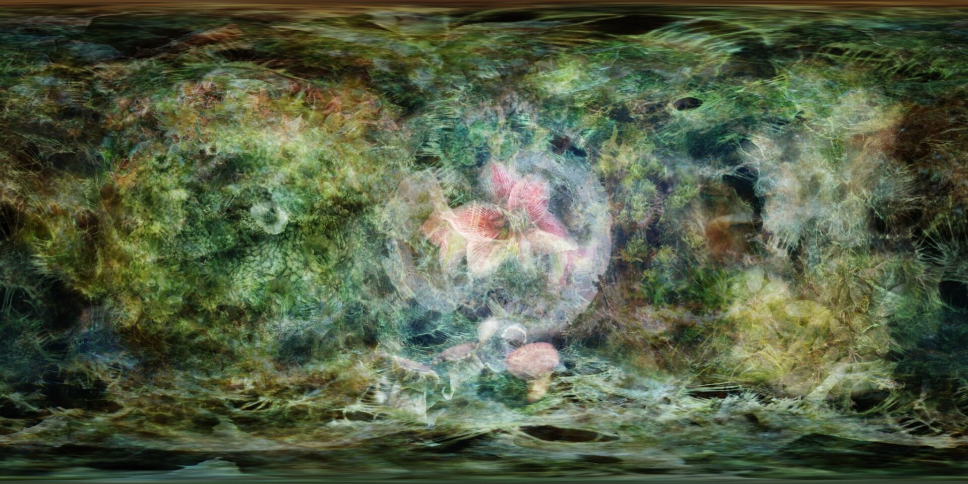 praca Hoffmann-dietrich