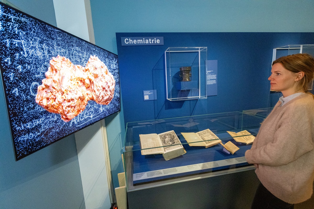 praca Hoffmann-dietrich