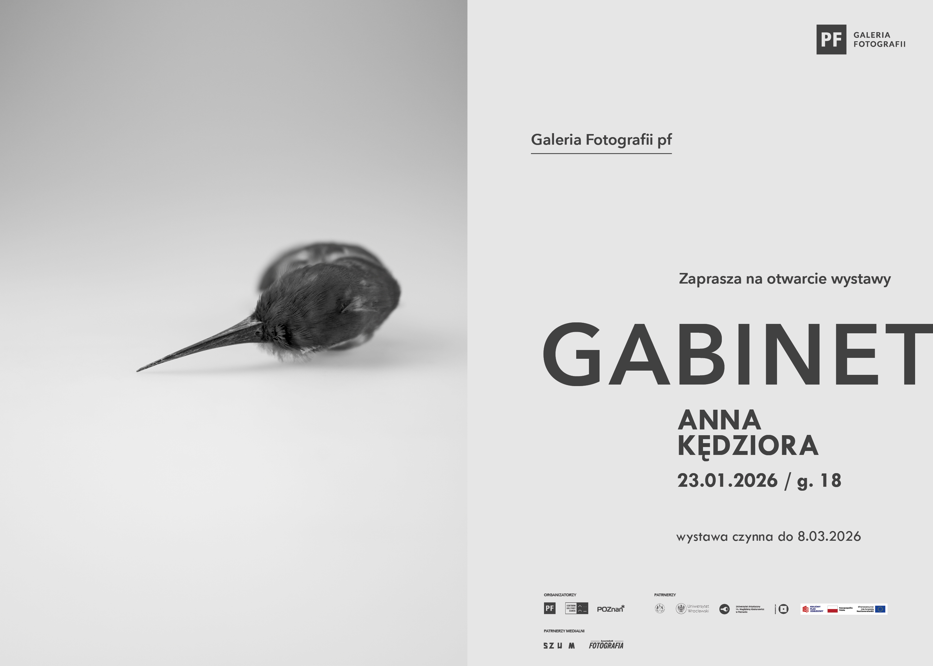 Anna Kędziora | GABINET