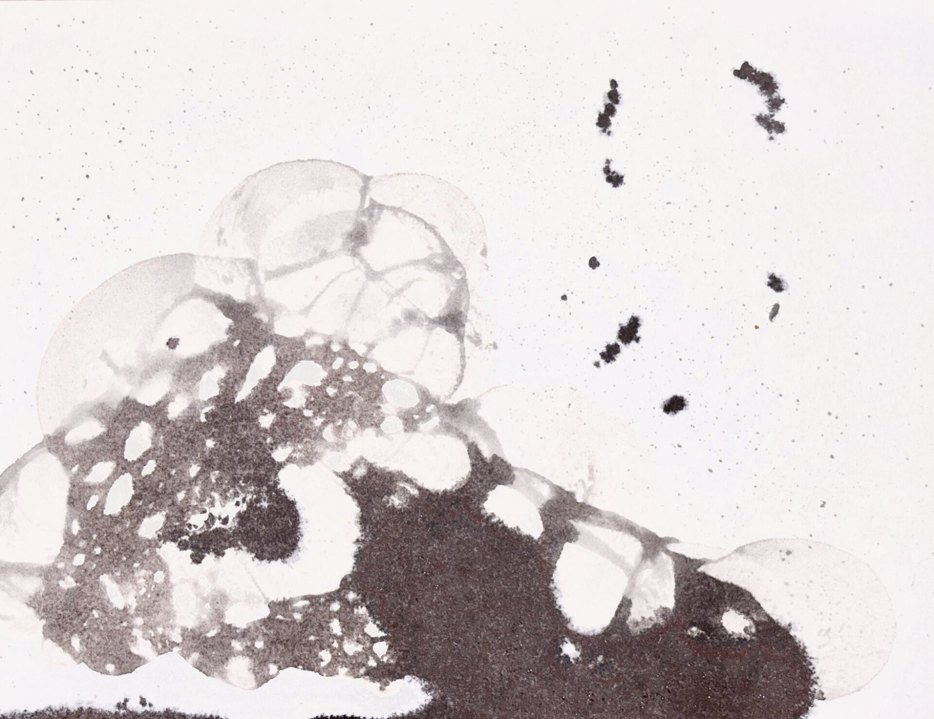 Dzień Ziemi | akademickie warsztaty i wykłady