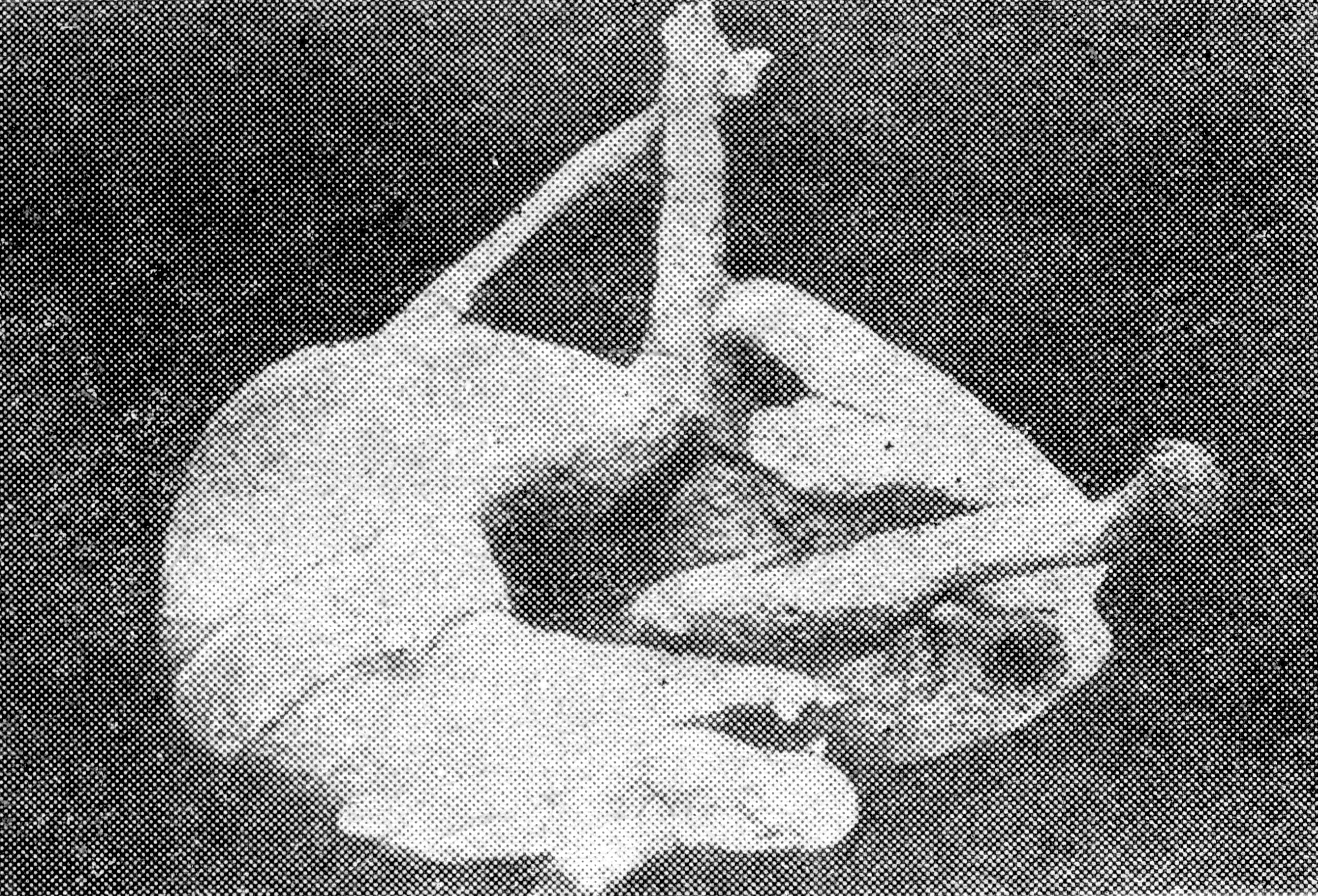 Zwierzę przychodzi powoli / The animal comes slowly