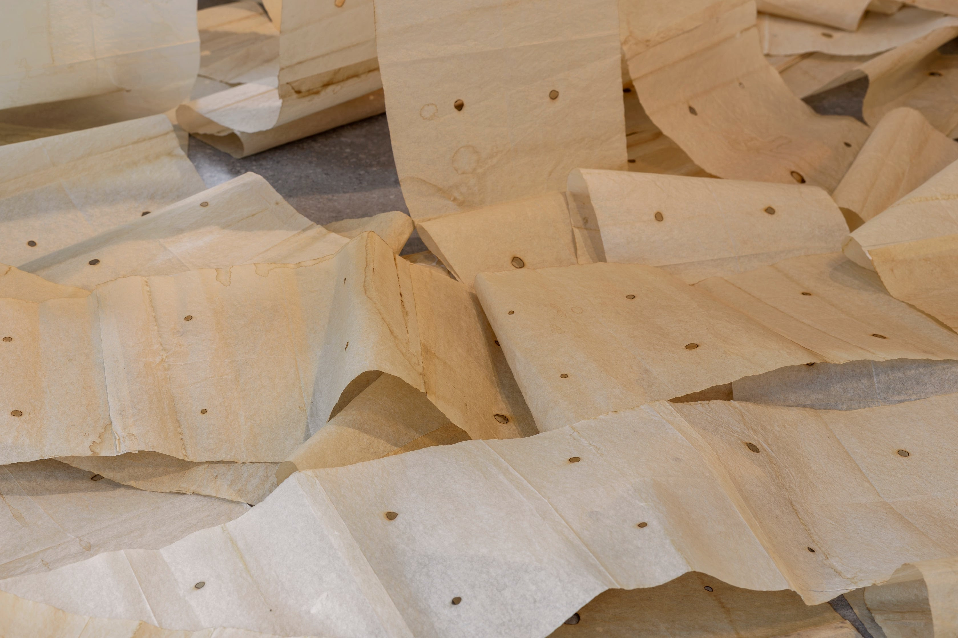 Zuza Dolega | paper positions berlin 2026