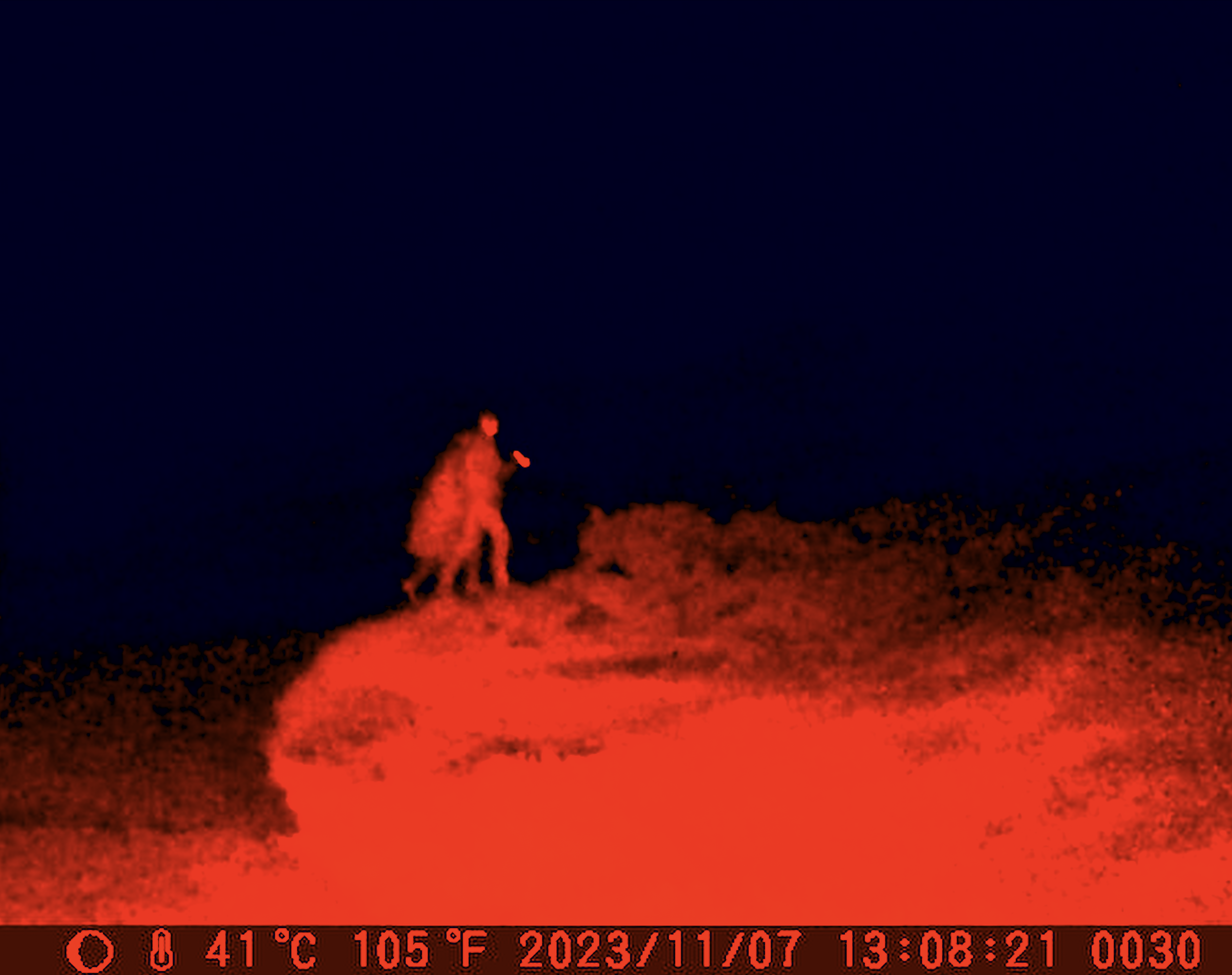 Spotkanie z Jarosławem Mikołajewskim | pokaz filmu Miłośći innegwiazdy