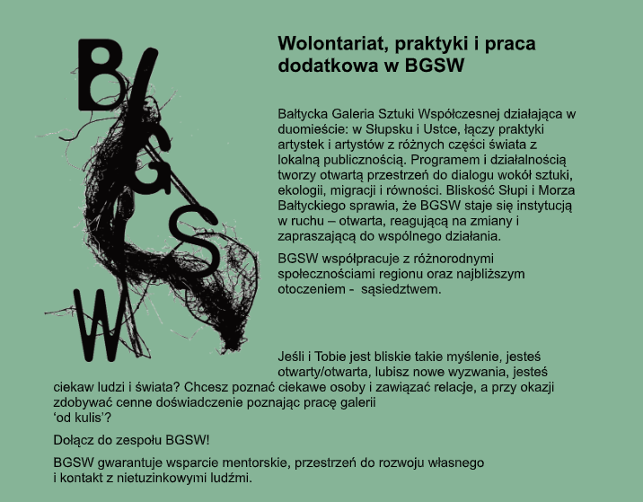 Wolontariat, praktyki i praca dodatkowa w BGSW